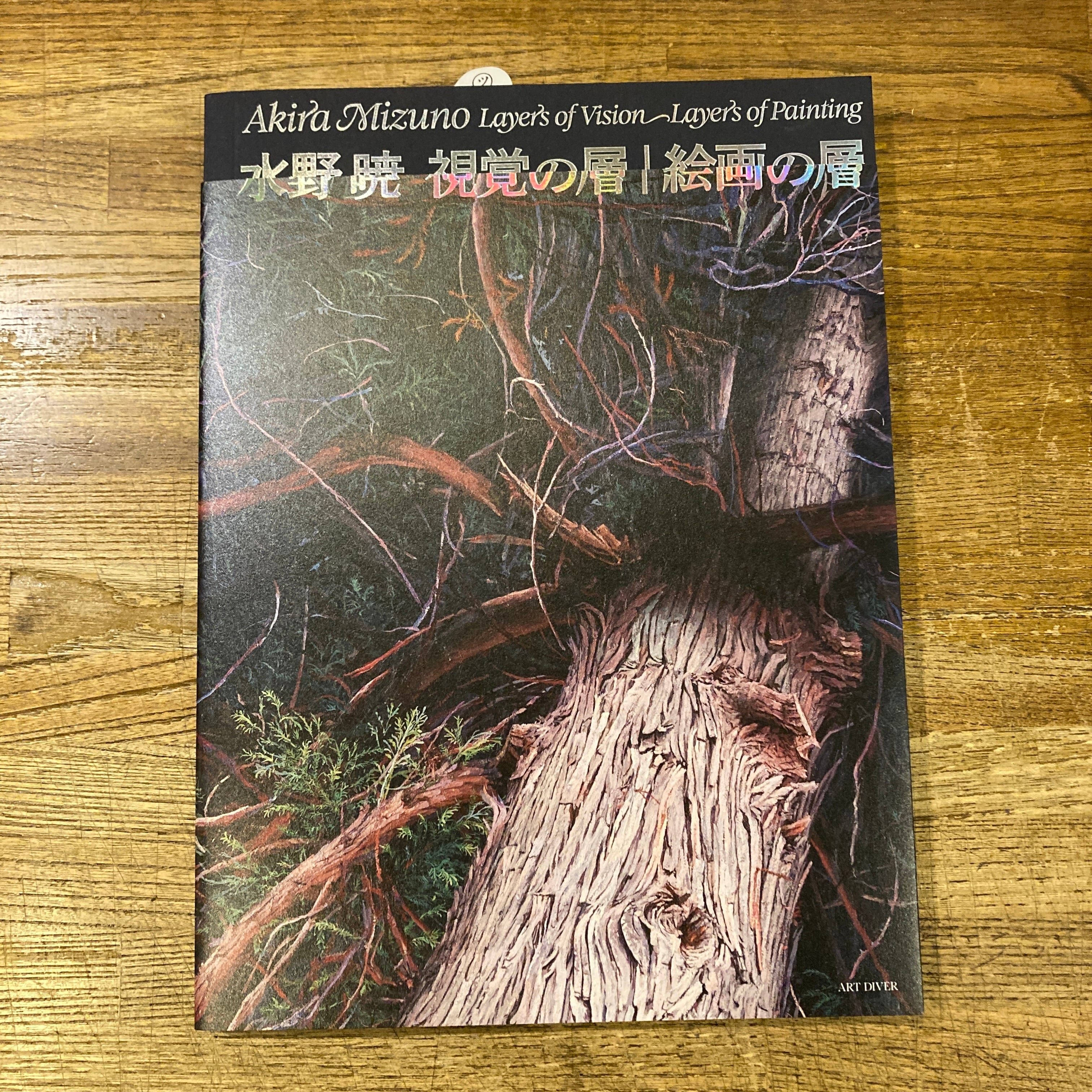 洋書/VASARELY FOLKLORE PLANETAIRE FARBWELT 洋書/VASARELY FOLKLORE PLANETAIRE FARBWELT