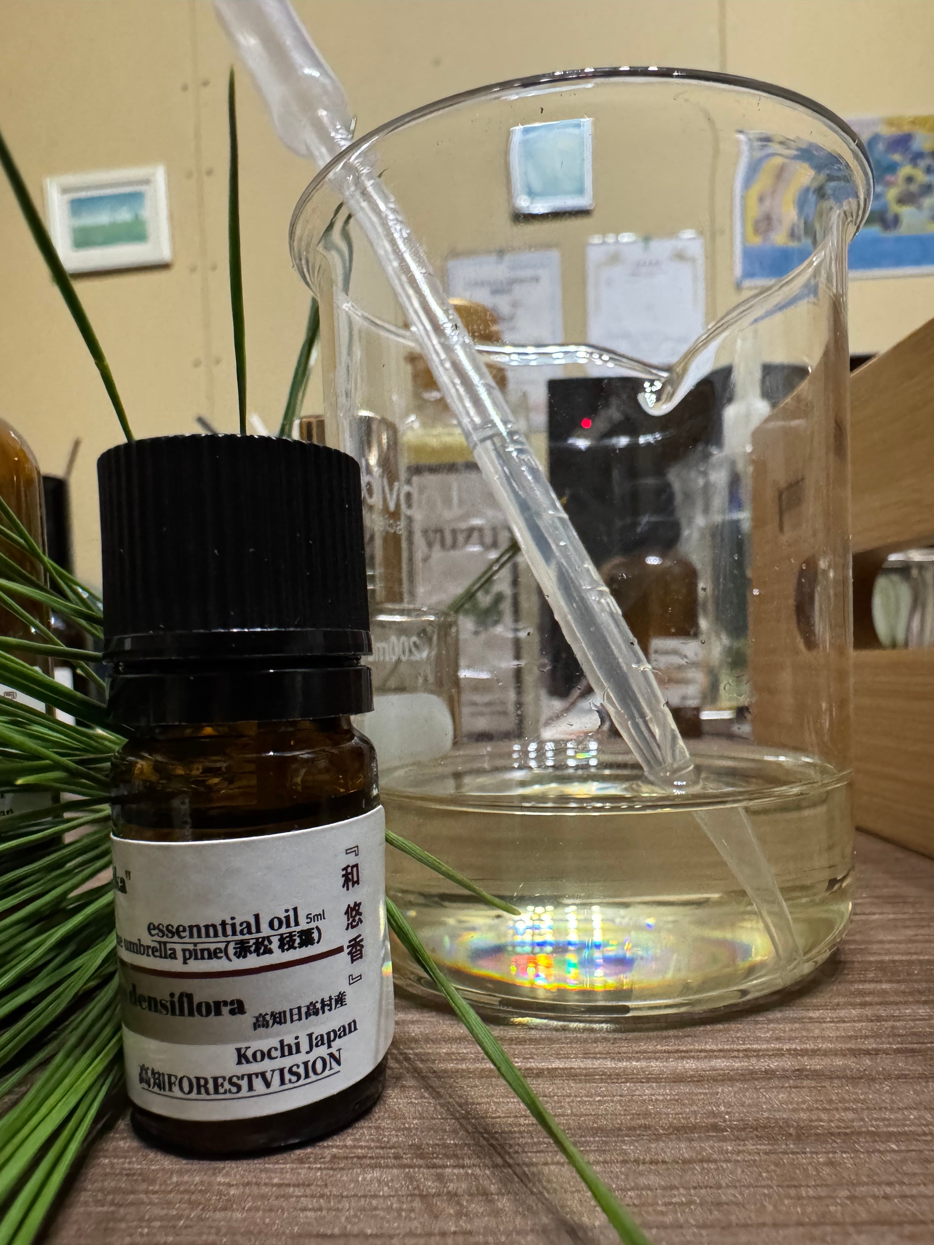 Anyfatie オイル NA 23mL 新品 エーゼット AZ 自動車用 エンジンオイル 4L 5W-30 SN (CEC-002/AET