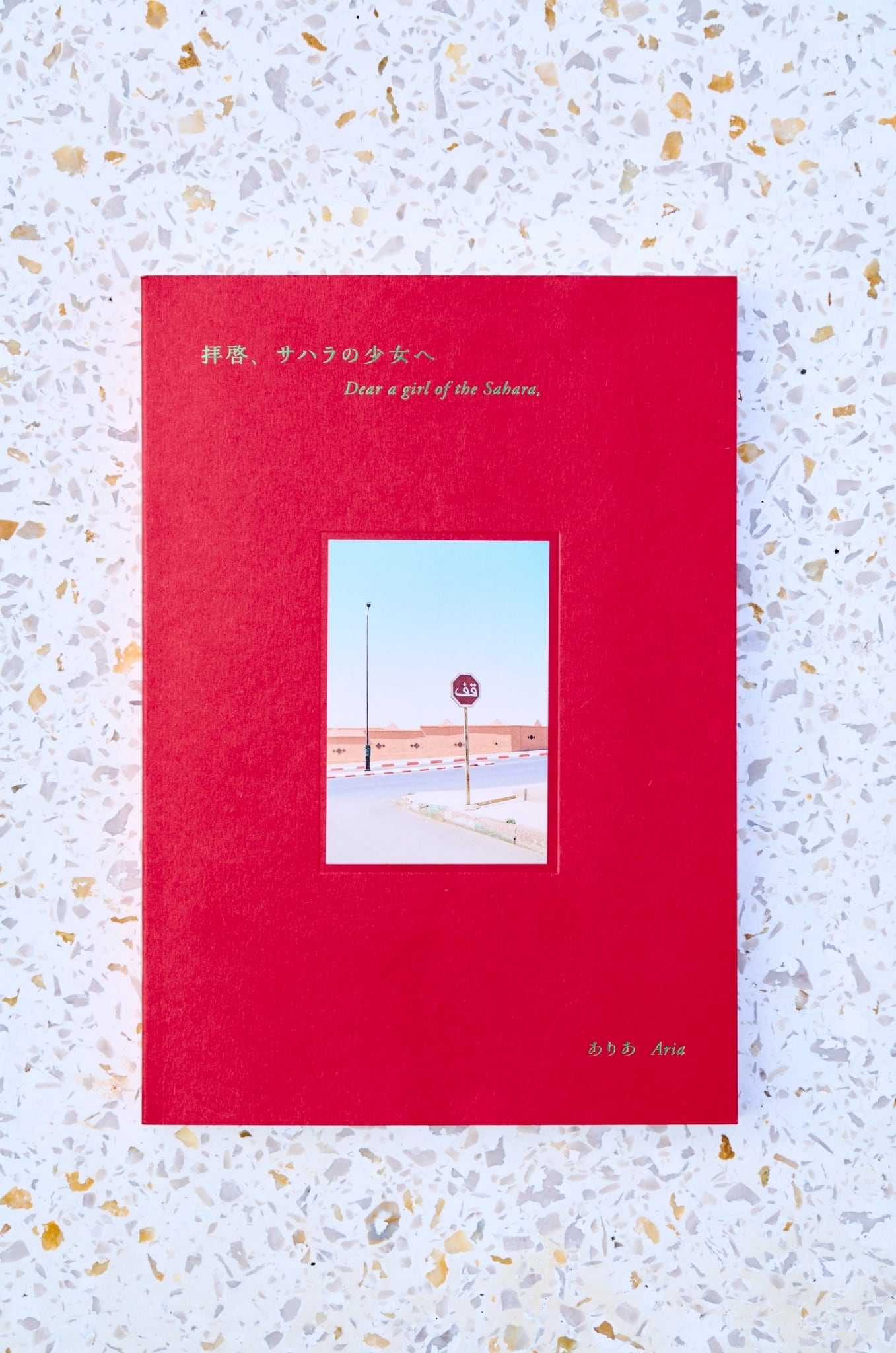 W KENTARO PHOTOBOOK in OKINAWA(秋沢健太朗・兼崎健太郎 写真集) | Pay ID