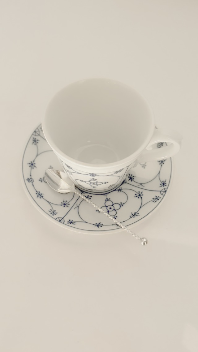 vintage cup & saucer Schonwald Ⅱ