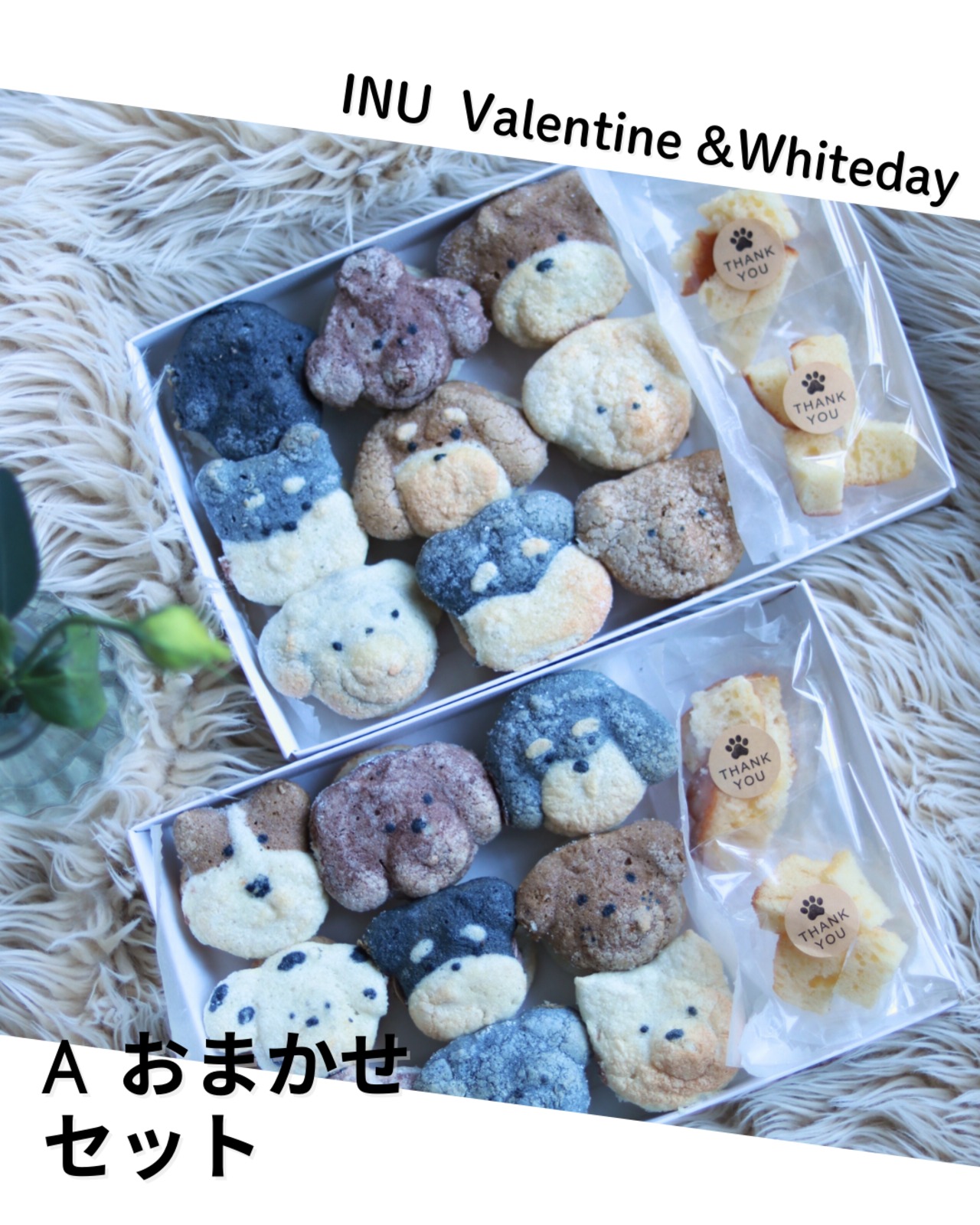 2月17日〜予約開始！ホワイトデー＆卒業【３月５～７日順次発送分】（１月中予約で送料なし）スイーツギフトセット