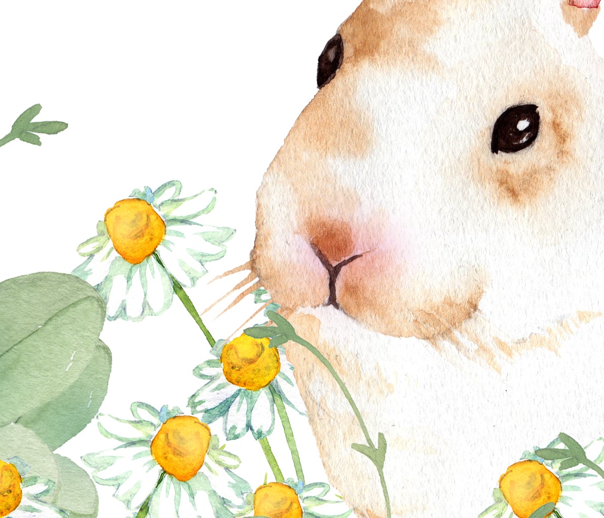 花畑のウサギの水彩画 | イラスト素材屋