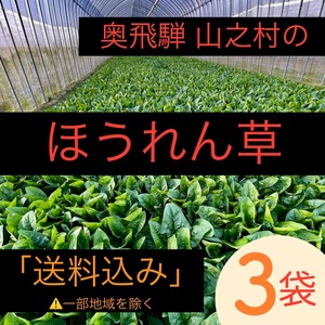 清水さんちの ほうれん草　3袋（1袋 180g）送料込み（一部地域除く）