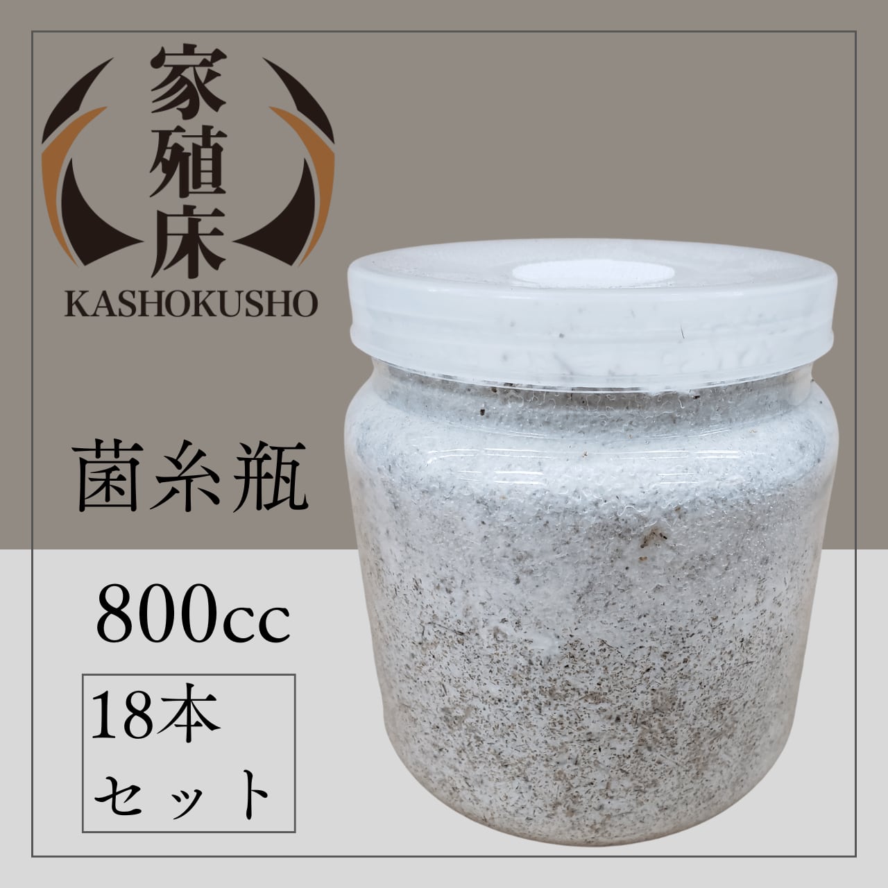 カワラ菌糸ビン800  12本 3b80c288523e6ec6d04bc65c462cd3