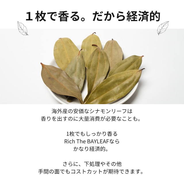 屋久島産シナモンリーフ（10g入✖2袋）【送料無料】ベイリーフ