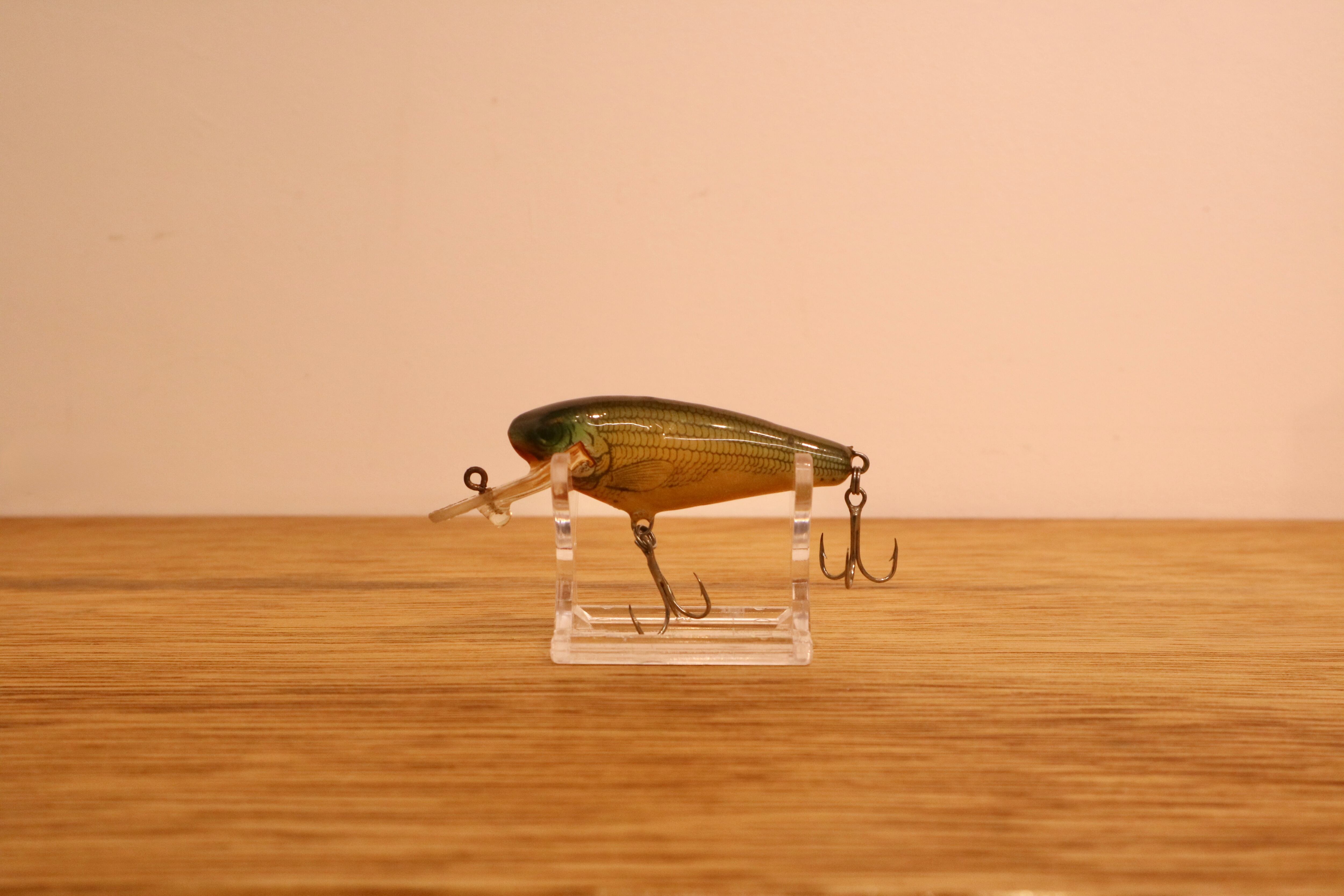 CORMORAN (コーモラン) / ダイブシャッド