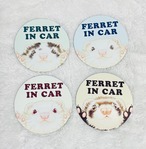 マグネットシート　Ferret in car