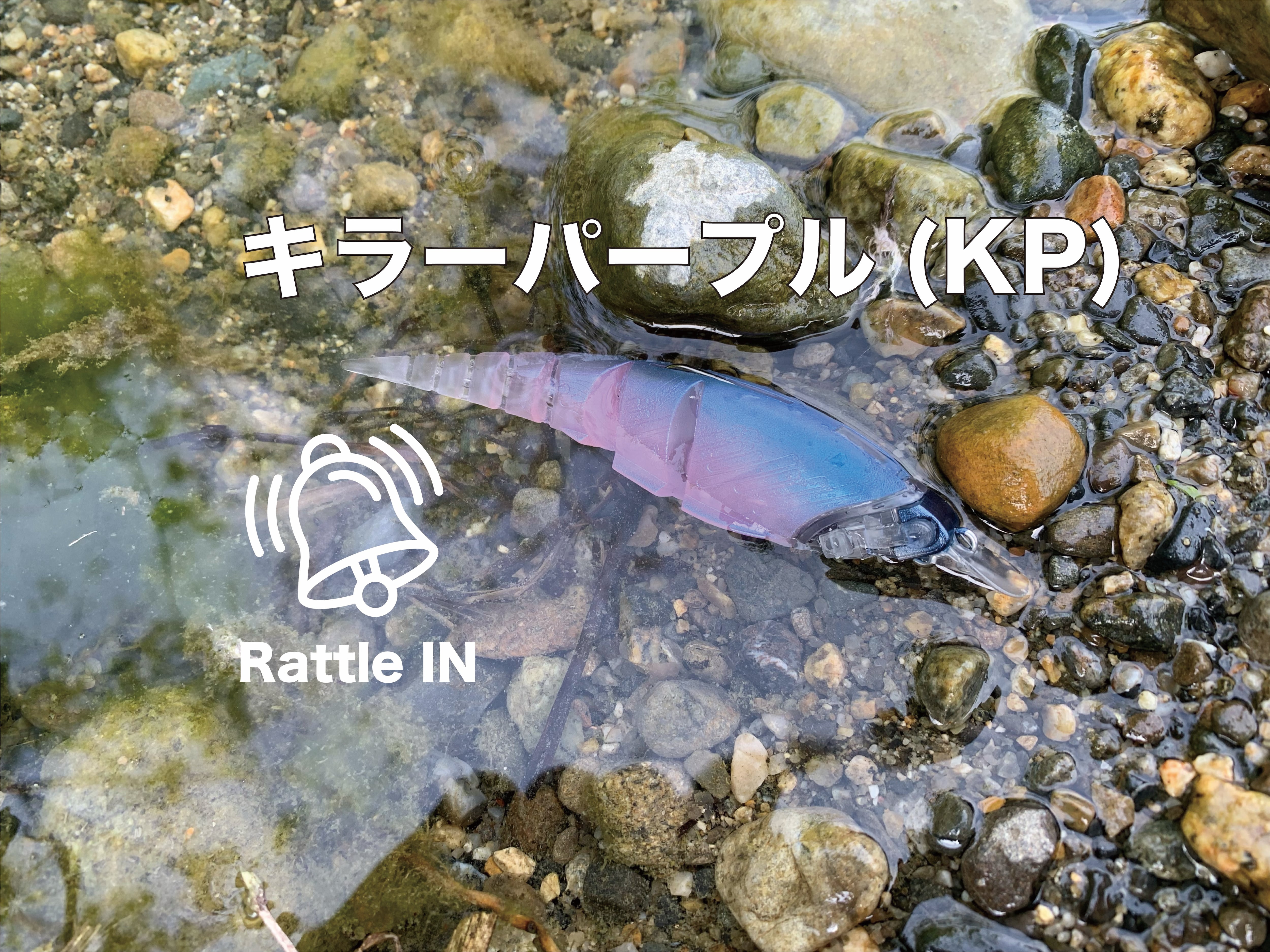 β-MINNOW（Rattle IN） | TTT