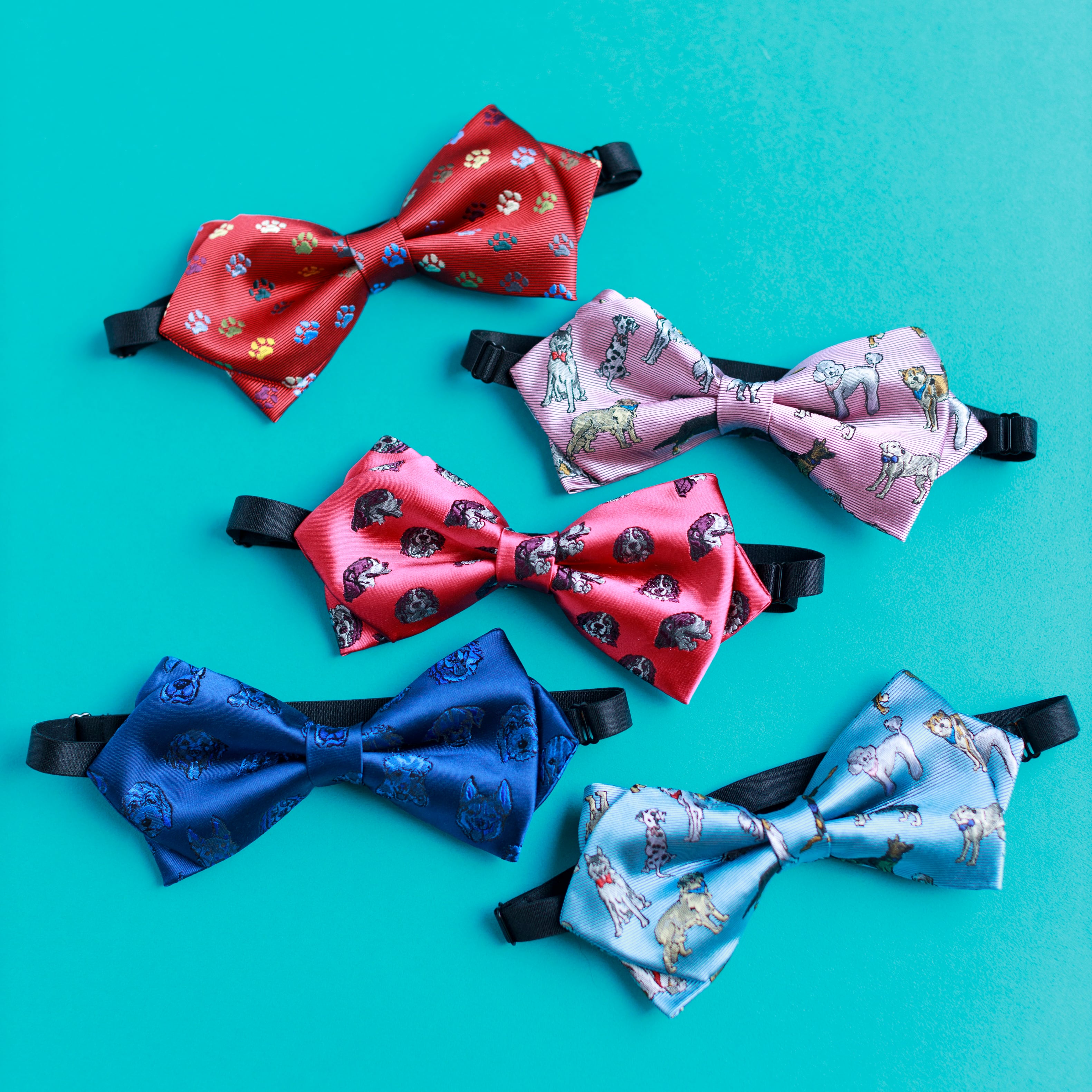 フランス】蝶ネクタイをしたピンクのアンティークテディベア / 青い目