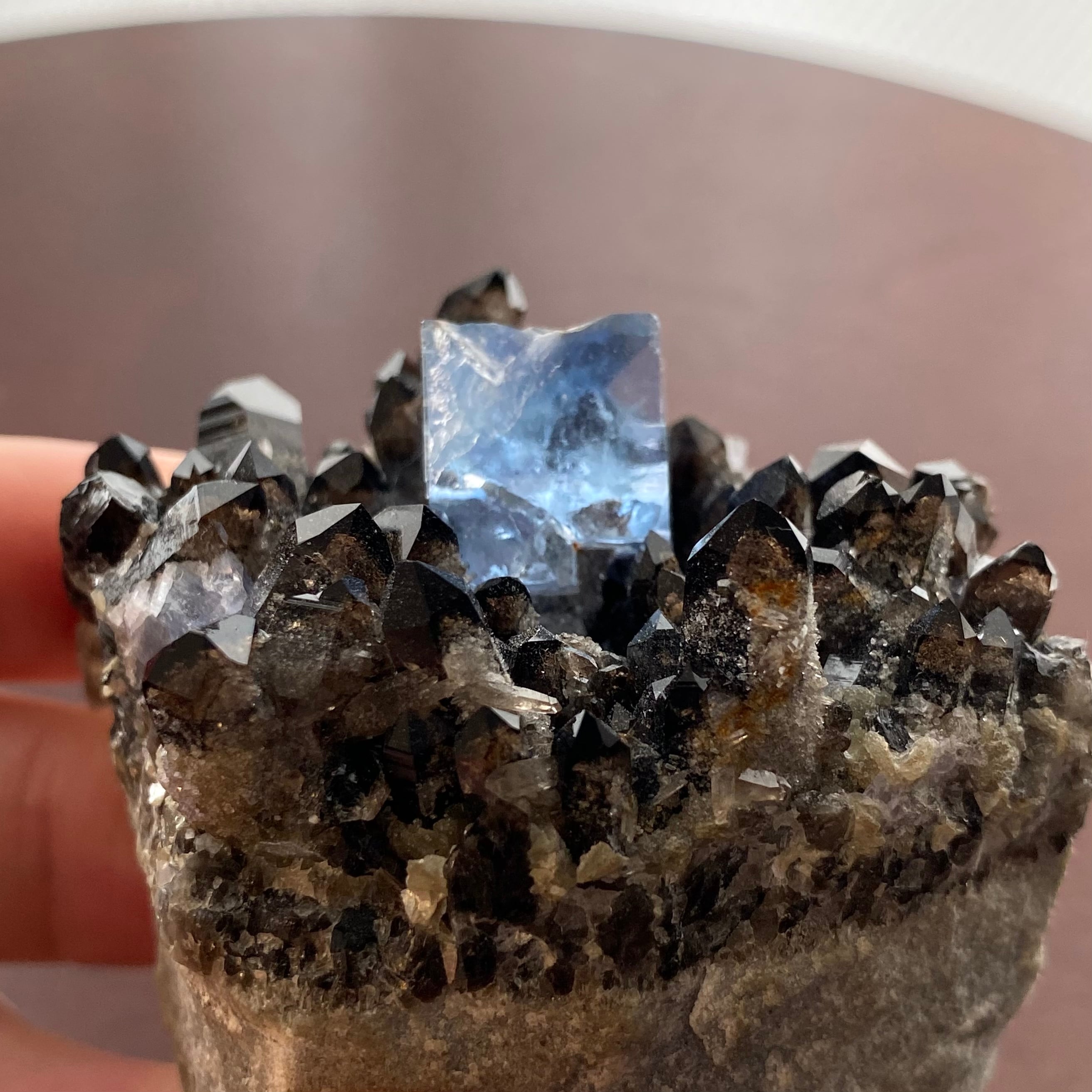フローライト / スモーキークォーツ【Fluorite on Smoky Quartz