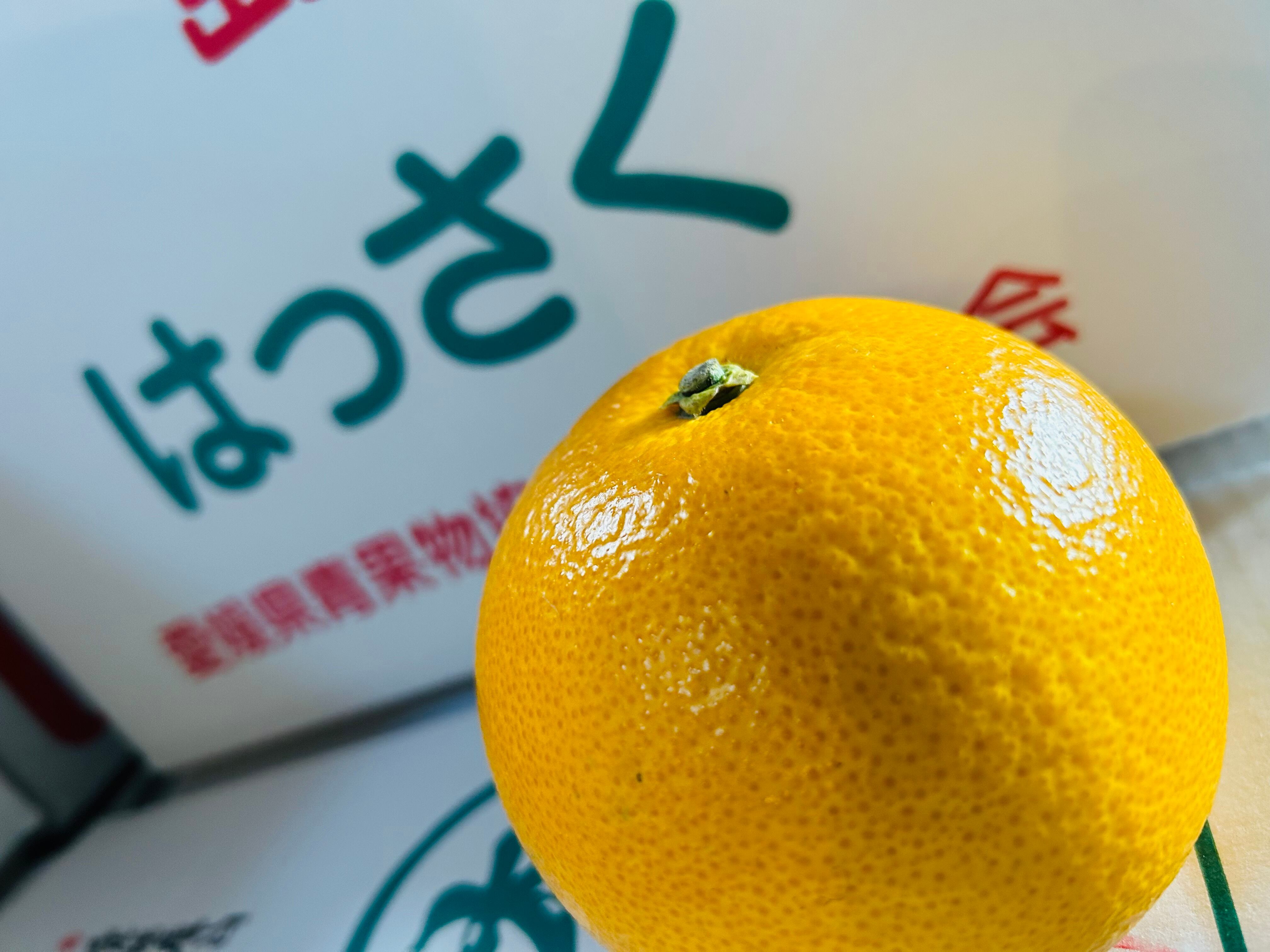 島育ちの八朔ジュース 720ml×3本入 | 株式会社丸大青果