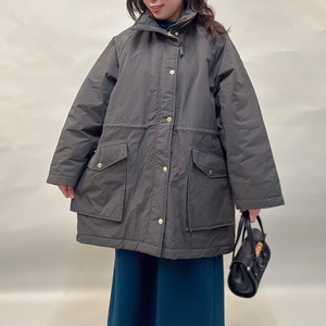 ディニテコリエ　