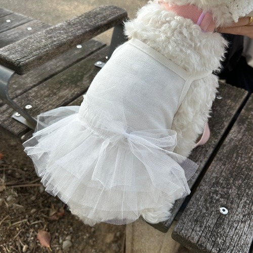 Tutu dress - white