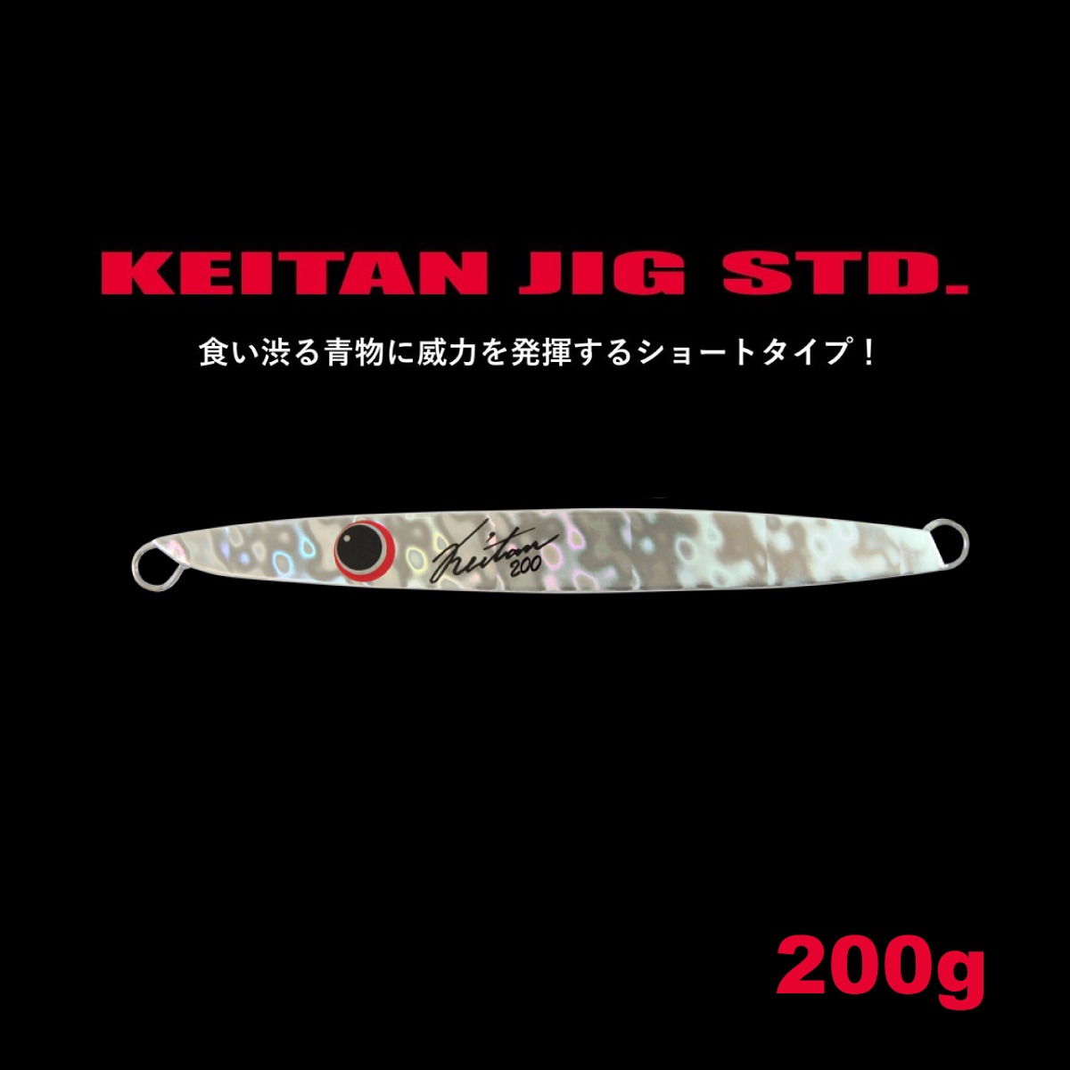 ケイタンジグSTD. 200g [KEITAN JIG STD. 200g] | HOTS OFFICIAL WEB SHOP