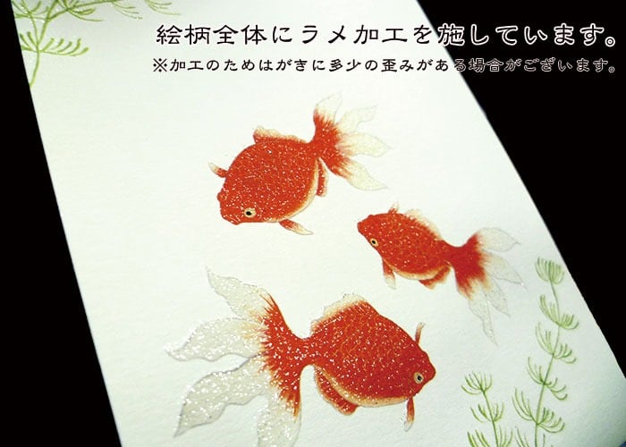 花きらら 暑中見舞い・残暑見舞いはがき 6枚入りセット 和紙 京都 福井