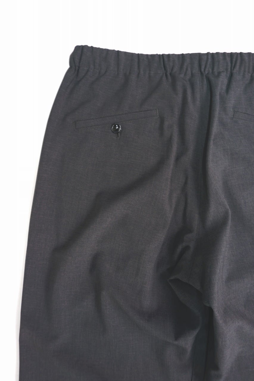 Poly Ramie Tropical Wool Pants