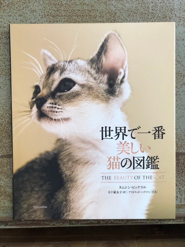 世界で一番美しい猫の図鑑　冒険研究所書店