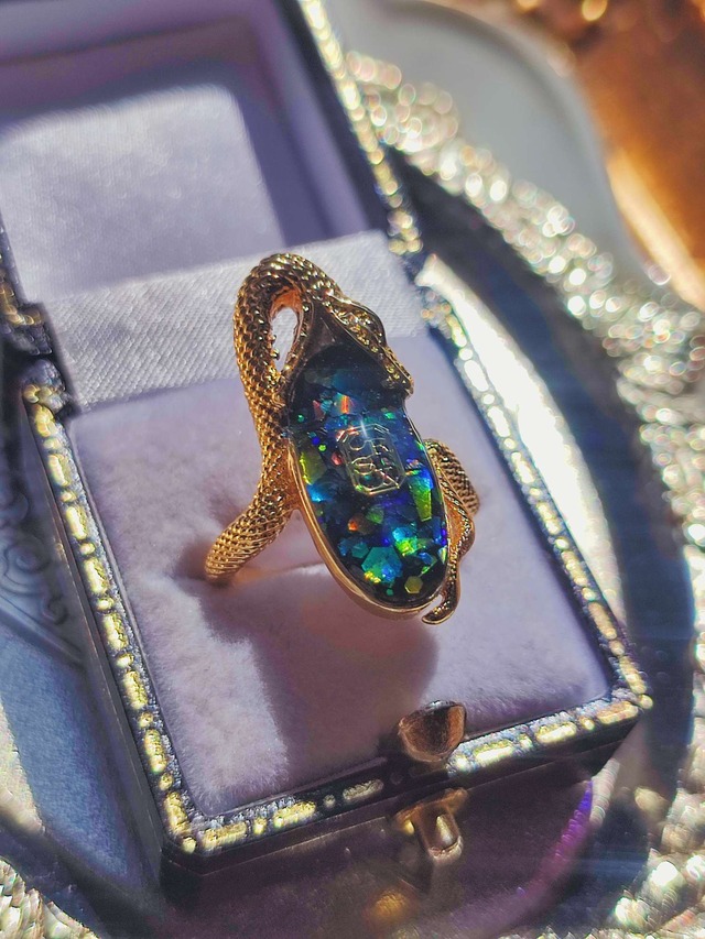 【VICTORIAN BALCK LOGO BITE RING／（XX390） 】