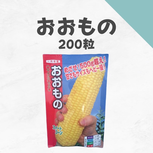 おおもの　トウモロコシ種子・200粒