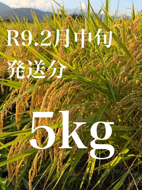 【予約販売R9.2月中旬発送】令和8年佐渡産コシヒカリ　5㎏ 画像