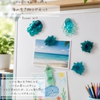 海の生き物マグネット＊海色マグネット（冷蔵庫・ホワイトボードに）