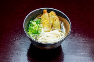 九州ちくごうどん(乾麺50g×2束)