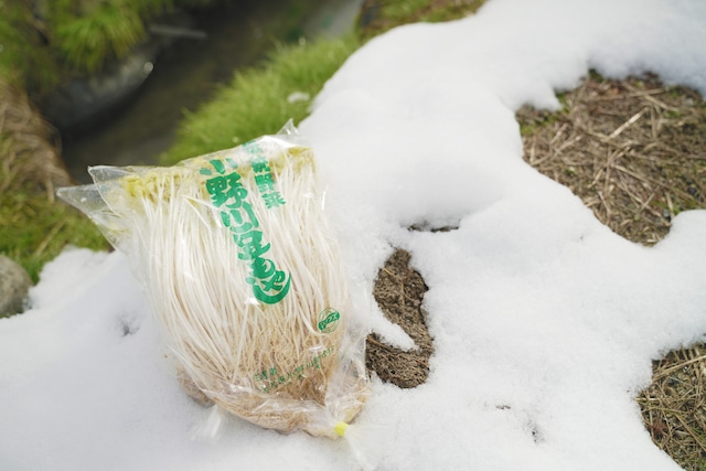 【ベジバルーン購入者のみ追加購入可能】約350年続く伝統野菜　小野川豆もやし　※ベジバルーンには入っております