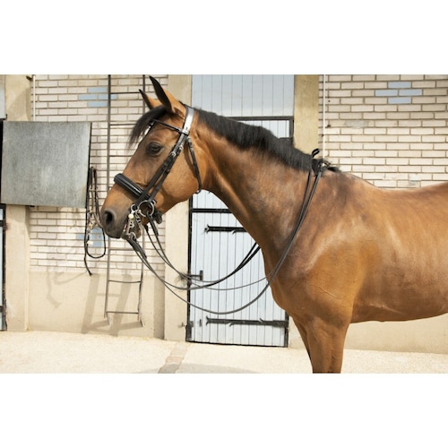 PENELOPE "Point Sellier" Double bridle ペネロペ 頭絡 大勒