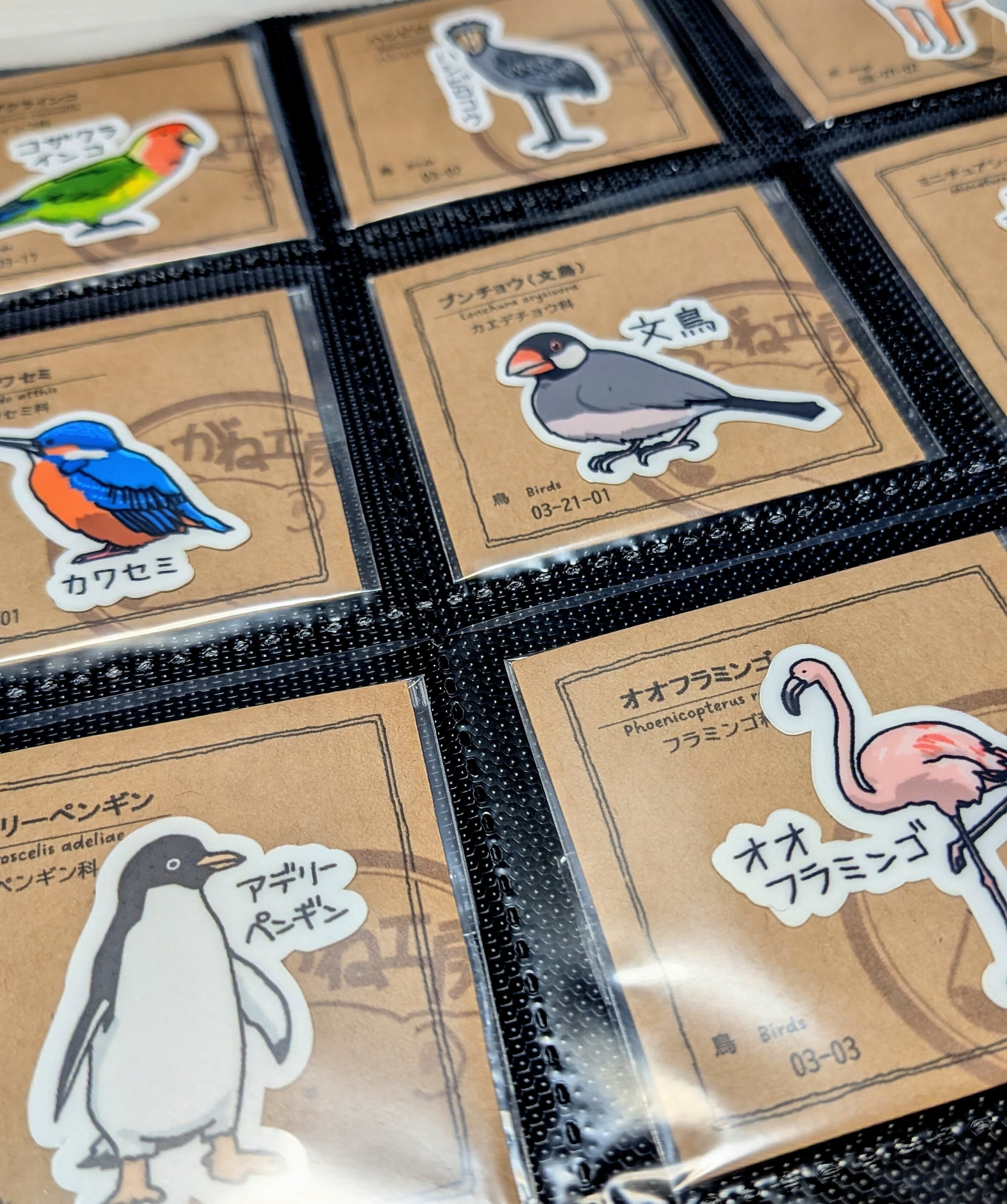 カワセミ 耐水ステッカー | くろがね工房