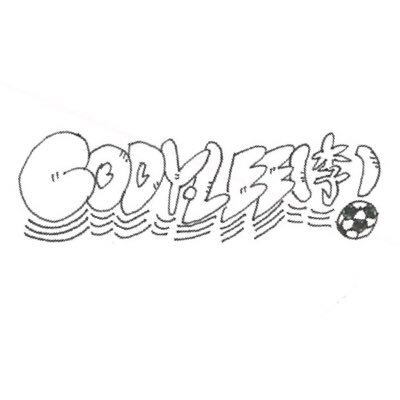 Cody・Lee(李) / drizzle | The Domestic