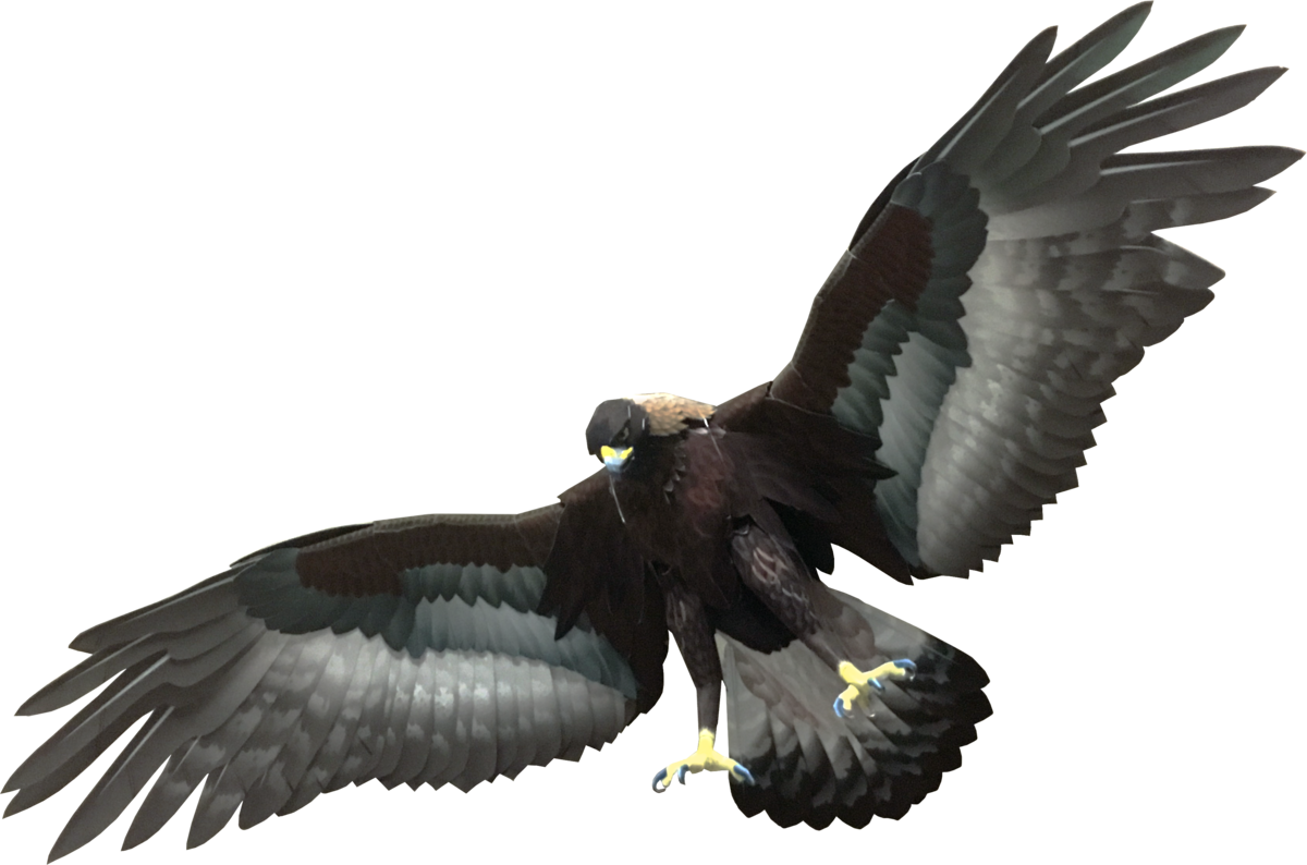 トリカワ貴族ページ Bonhams Cars : 1992 Kawasaki 750cc Zephyr Frame no