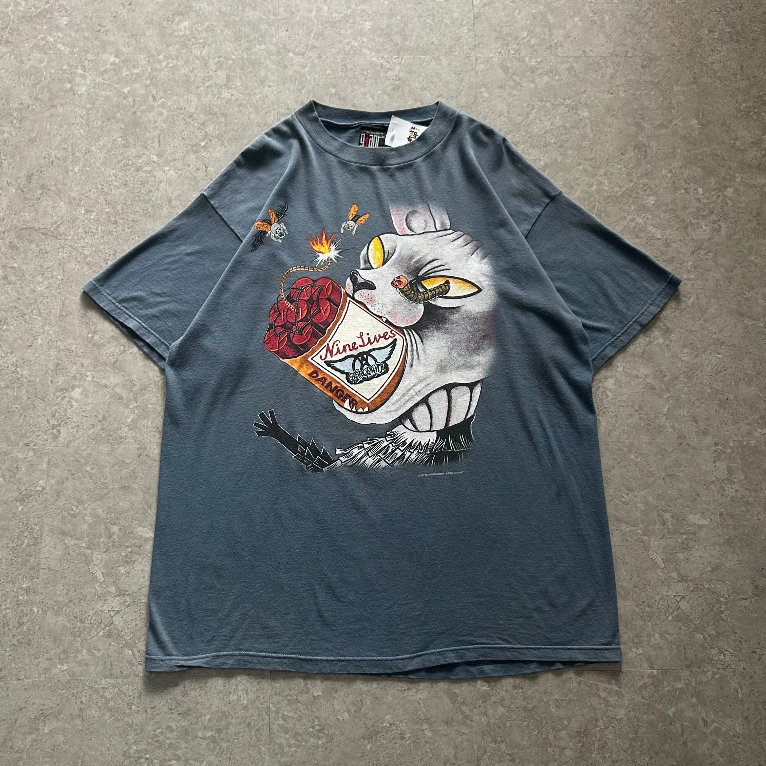 90s AEROSMITH WORLD TOUR T-shirt【仙台店】