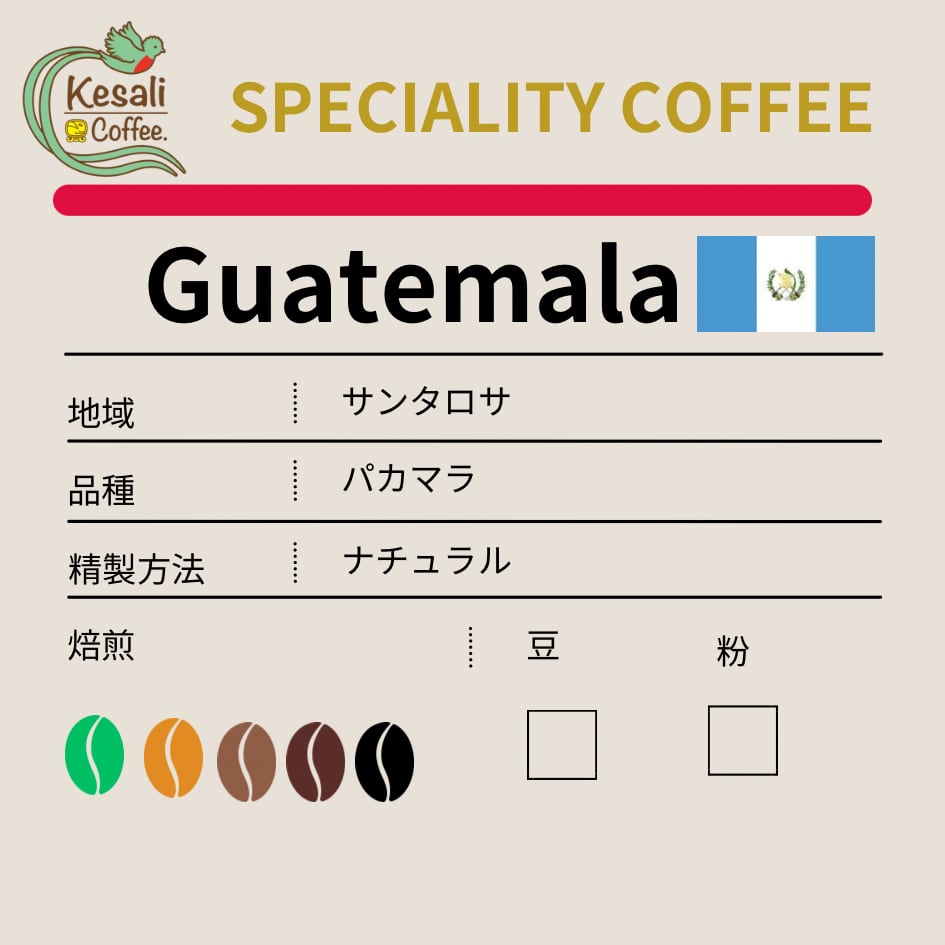 200g中煎りグアテマラPacamara ナチュラル