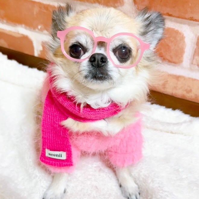 【seenii】 powder jacket (pink)