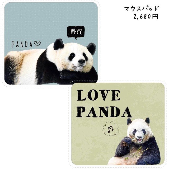 【パンダ特集】パンダの写真で作るオリジナルグッズ♪