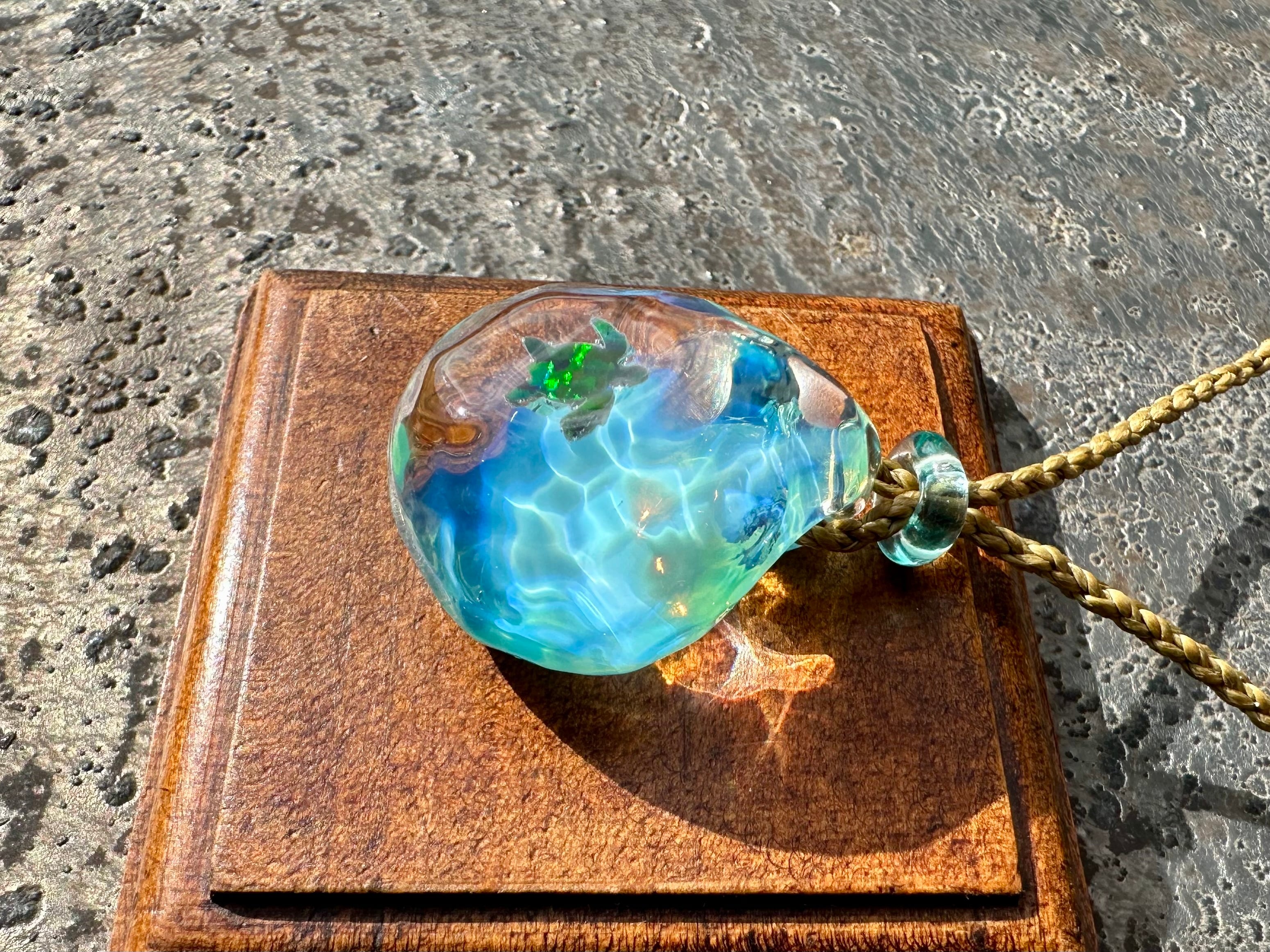 【ウミノカケラ　Sea turtle 】