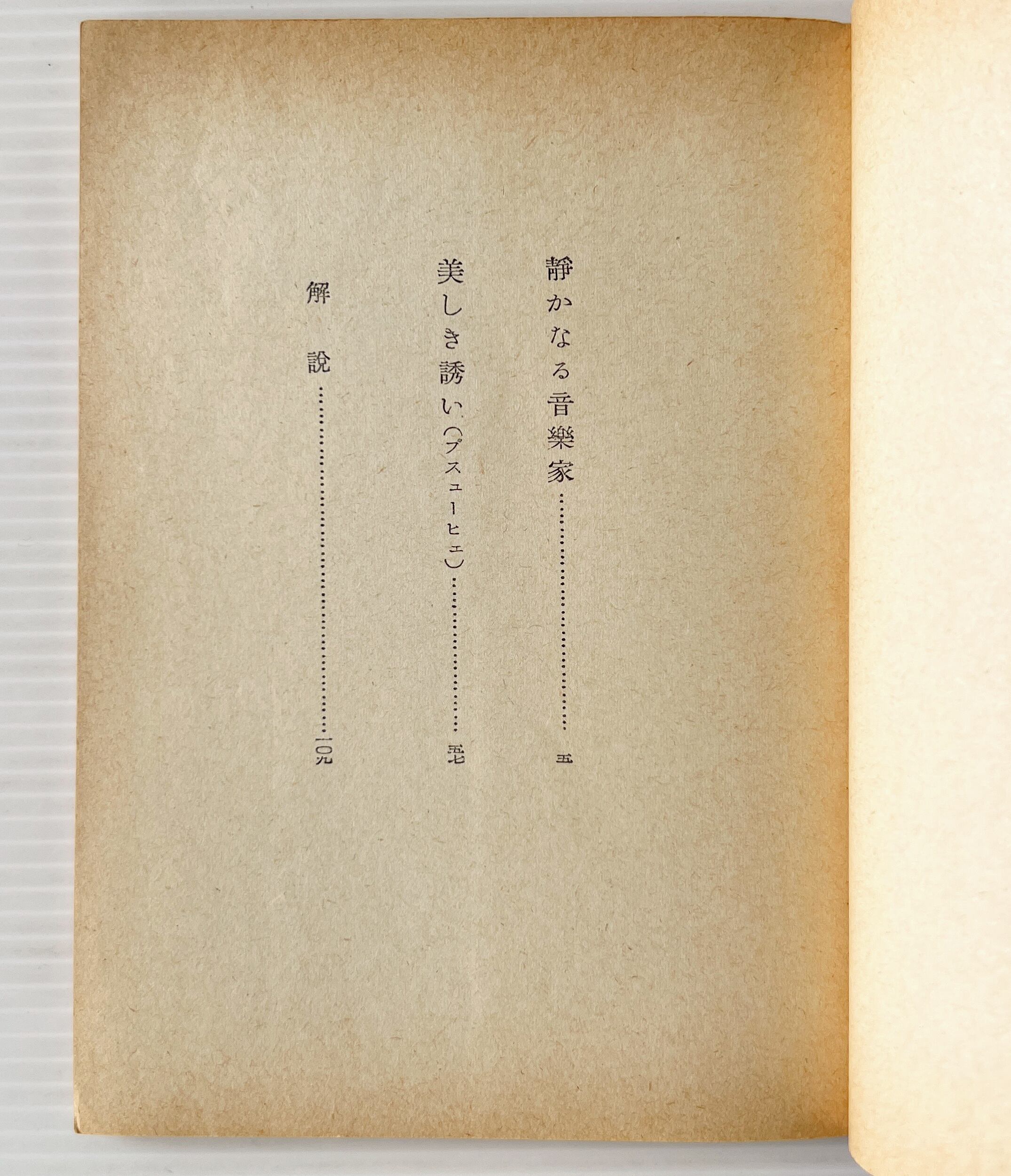 美しき誘い : 他一篇 <岩波文庫> / シュトルム 著 ; 国松孝二 訳 / 岩波書店