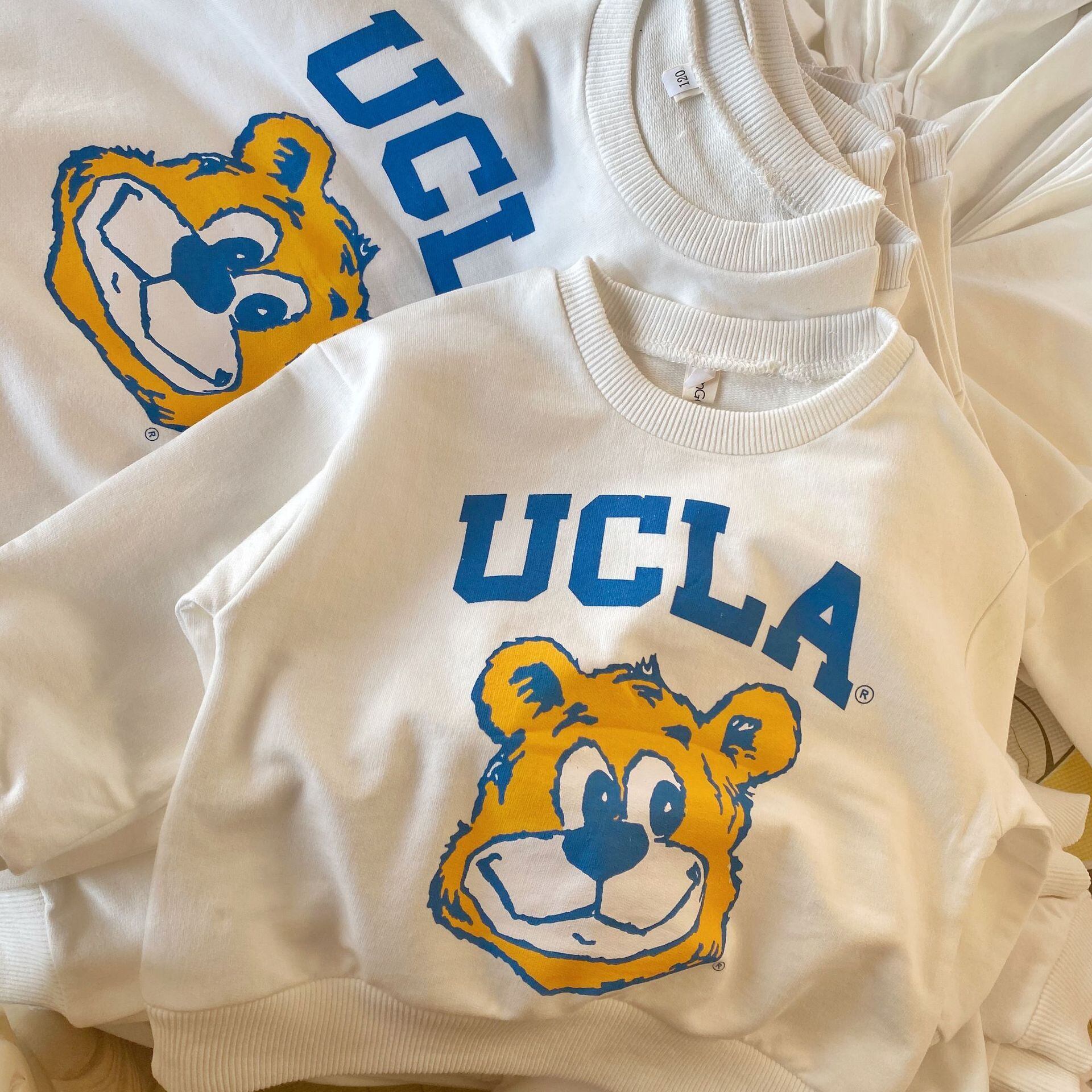 UCLA スウェット