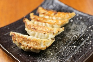 あぐーの塩ぎょうざ　32個入り