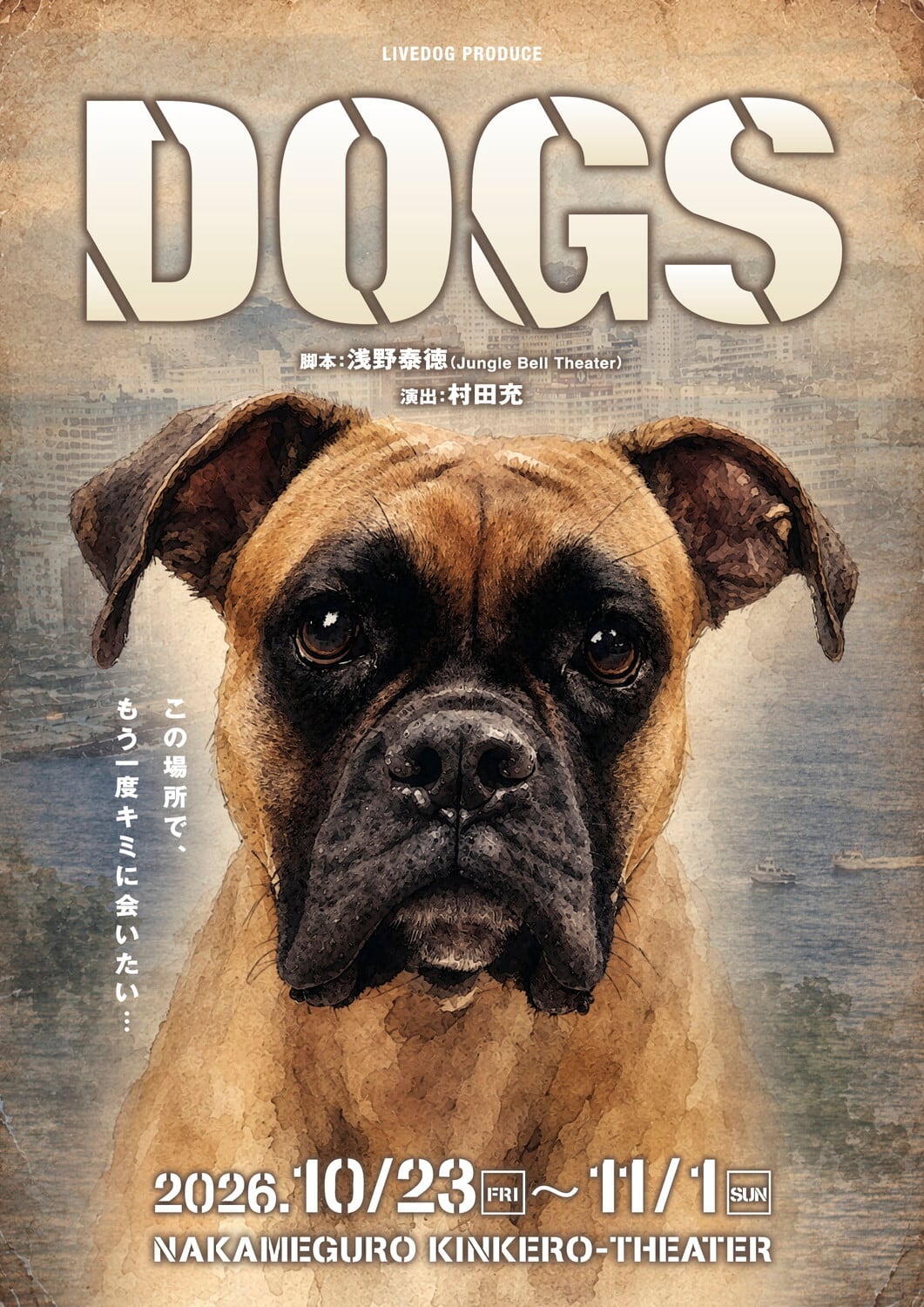 DOGS(ドッグス)】協賛型 応援チケット プレミアム（特典付き