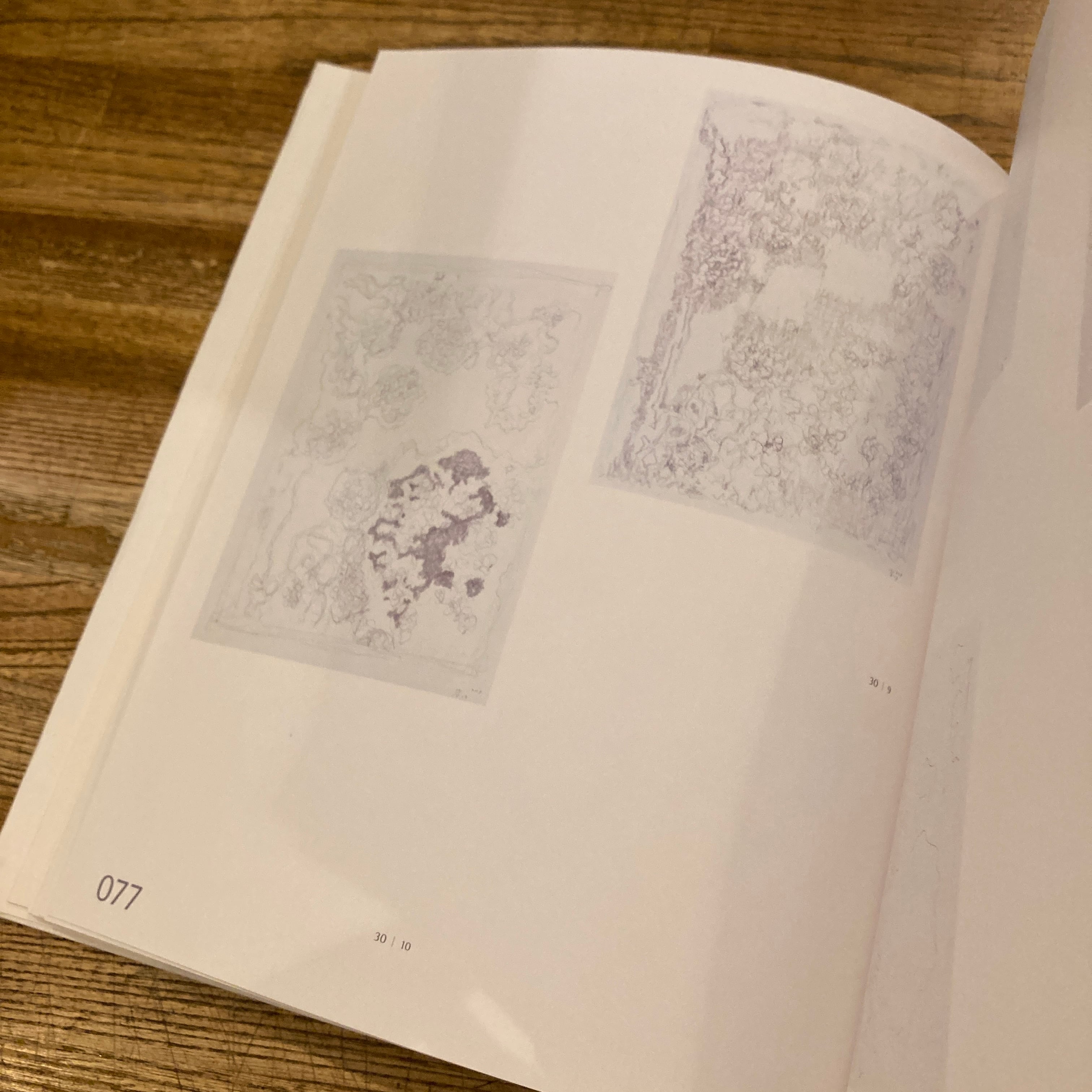 中西夏之新作展 絵画の鎖・光の森 | 百年