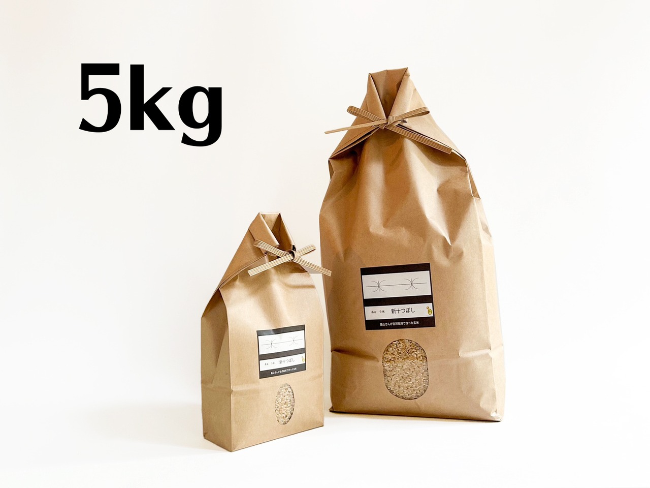 【R08年産】新十つぼし 玄米5kg