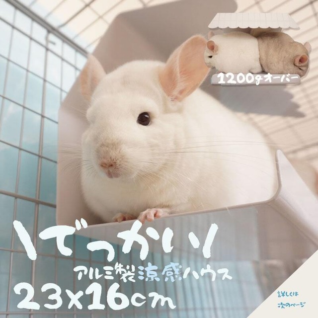 ＼かわいく快適に♡／陶器＆アルミ素材のクールハウス♪