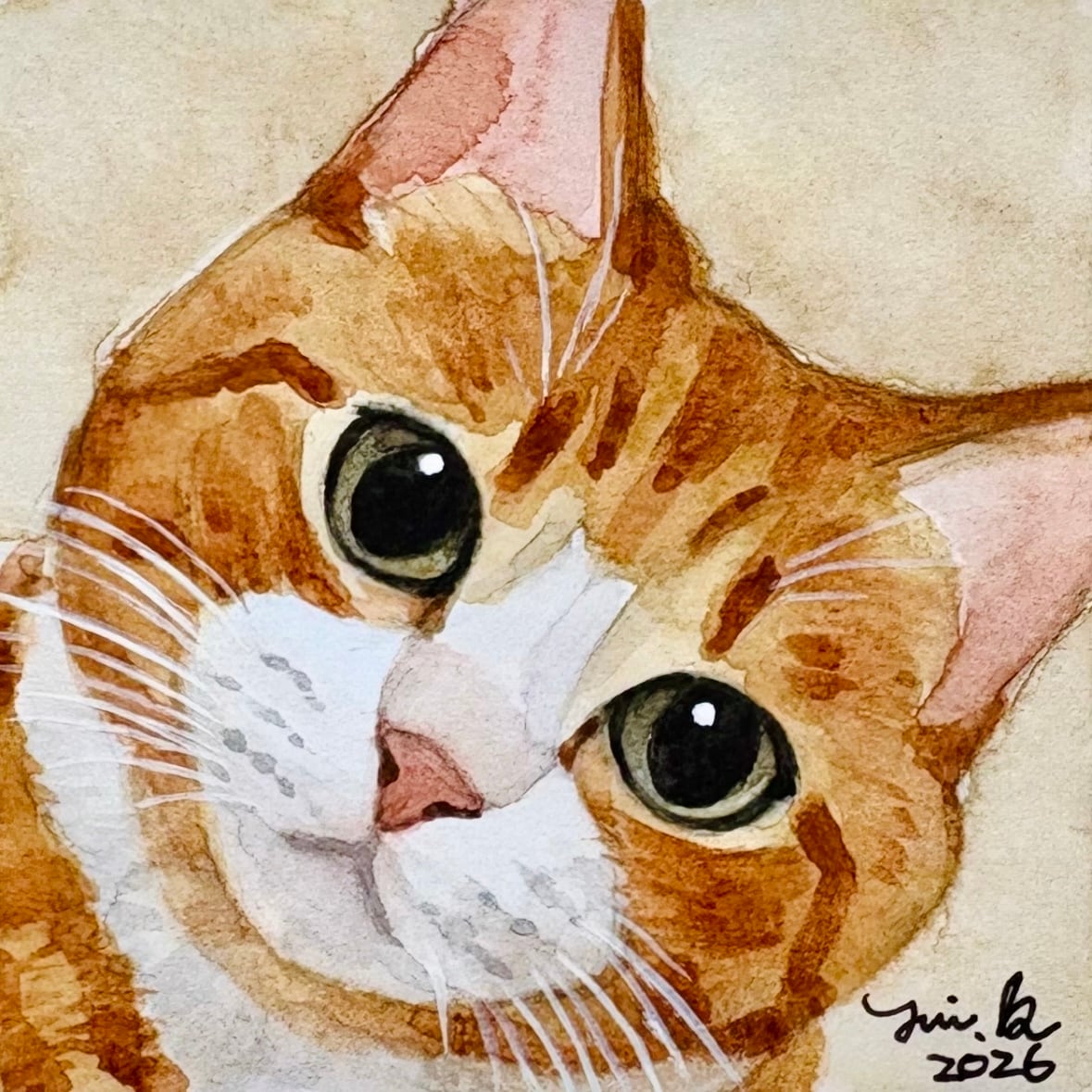 猫の絵 427 水彩画 原画 茶シロ猫 | Forest cat