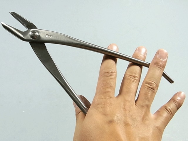やっとこ ステン 大 215mm No.819 兼進 Bonsai Pliers Kaneshin