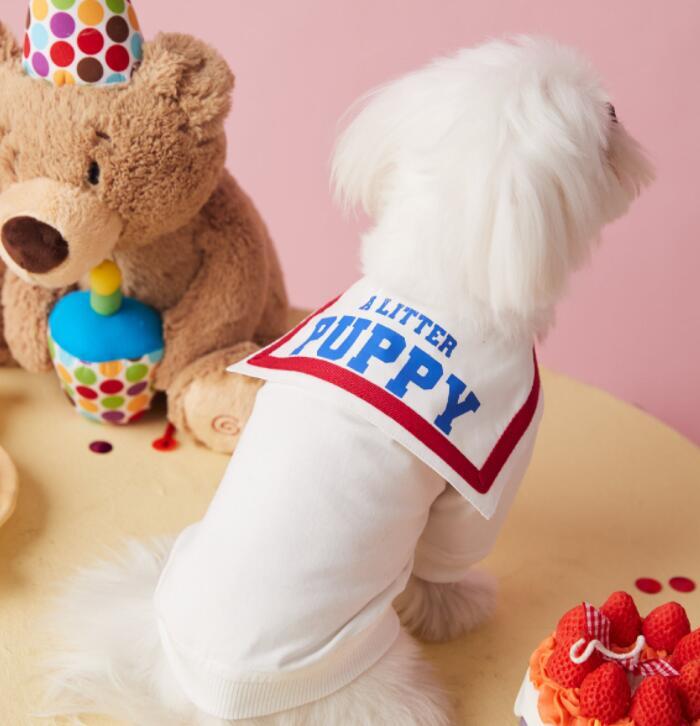 《予約》1102164 PUPPYラペルトップス