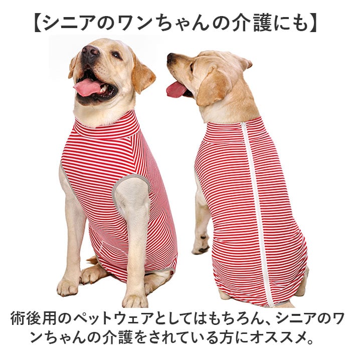 術後服 犬 通販 大型犬 術後ウェア 前後足 イヌ術後服 袖なし 傷口保護