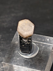 アパタイト/ショール Apaligon, Braldu Valley, Skardu District, Gilgit-Baltistan, Pakistan S7-268241