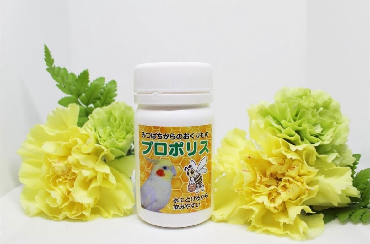 みつばちからのおくりものプロポリス(40g)チョコボC はちみつと