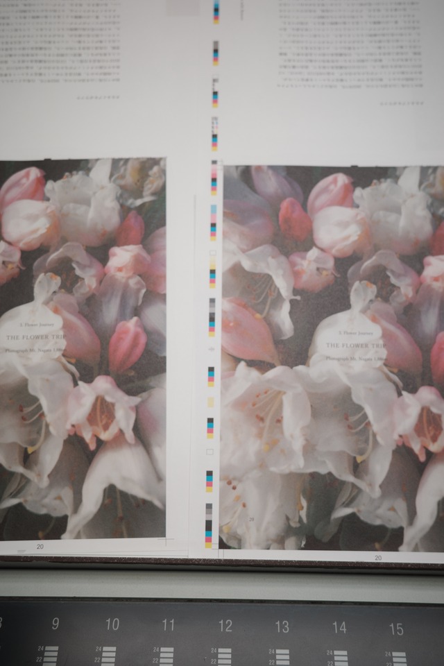 5th Anniversary book "FLOWER OF THE MOUNTAIN"